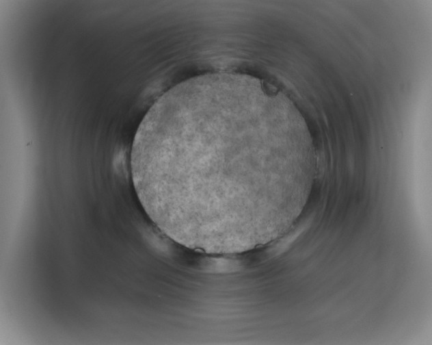X0000111150286200907141347