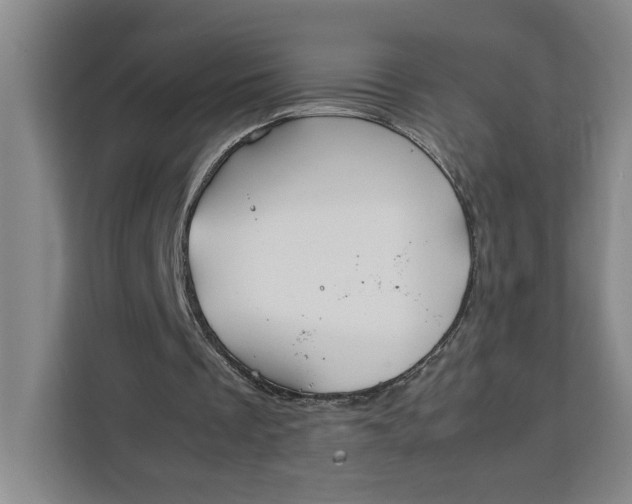 X0000111150289200907141347