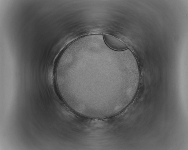 X0000111150290200907141347