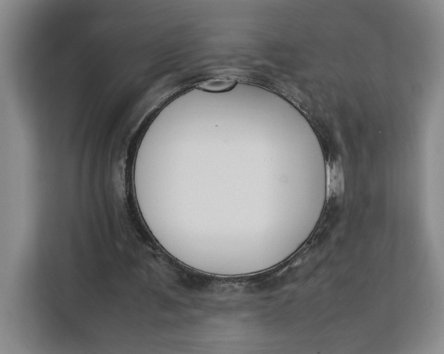 X0000111150291200907141347