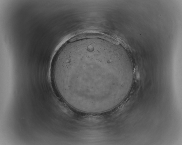 X0000111150292200907141347