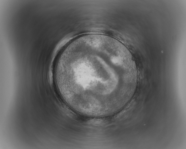 X0000111150294200907141347