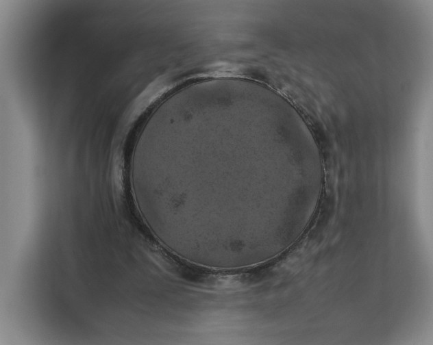 X0000111150295200907141347