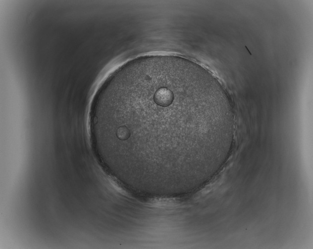 X0000111150296200907141347