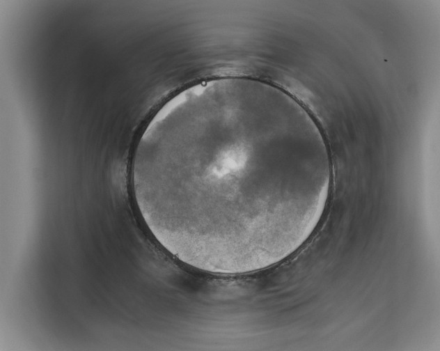 X0000111150297200907141347