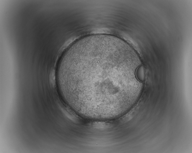 X0000111150298200907141347