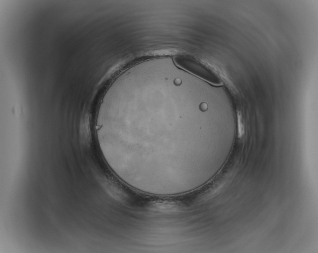 X0000111150300200907141347