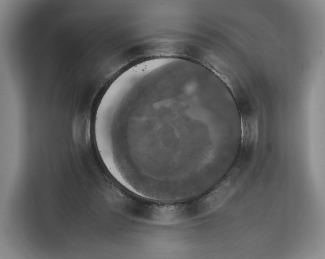 X0000111150301200907141347