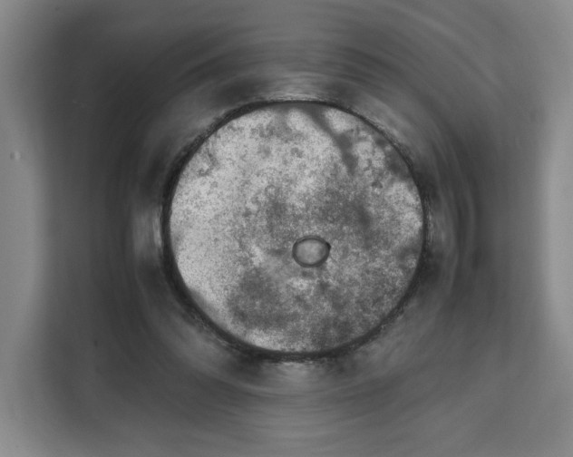 X0000111150302200907141347