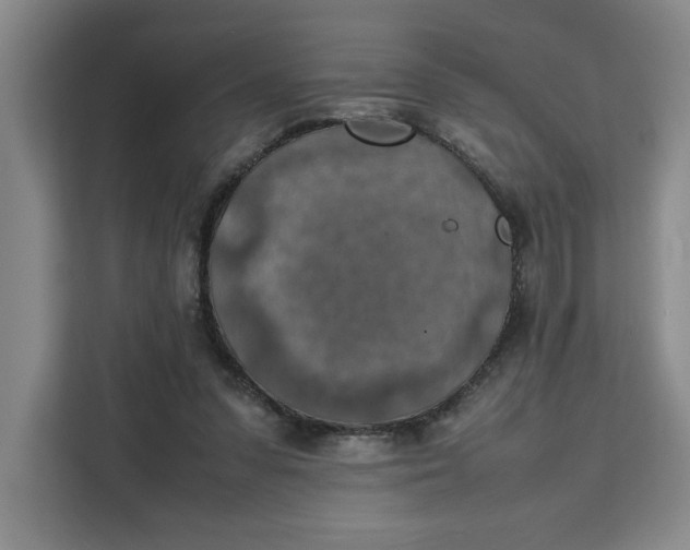 X0000111150303200907141347