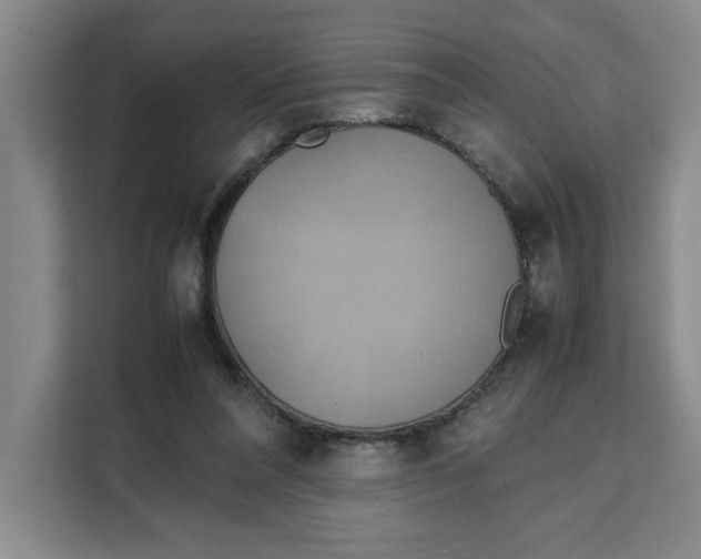 X0000111150304200907141347