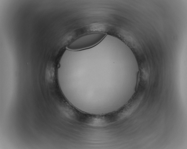 X0000111150308200907141347