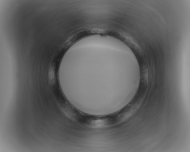 X0000111150312200907141346