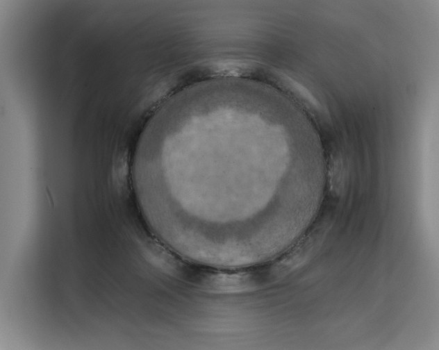 X0000111150314200907141346