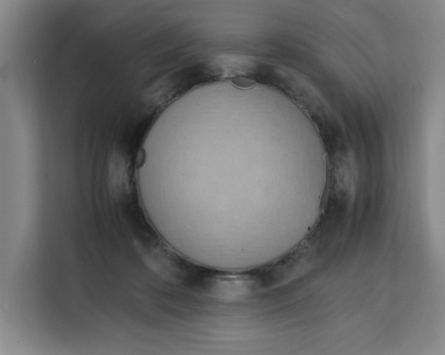 X0000111150316200907141346