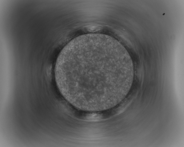 X0000111150319200907141346