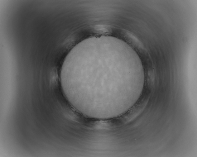 X0000111150320200907141346