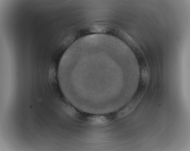 X0000111150322200907141346