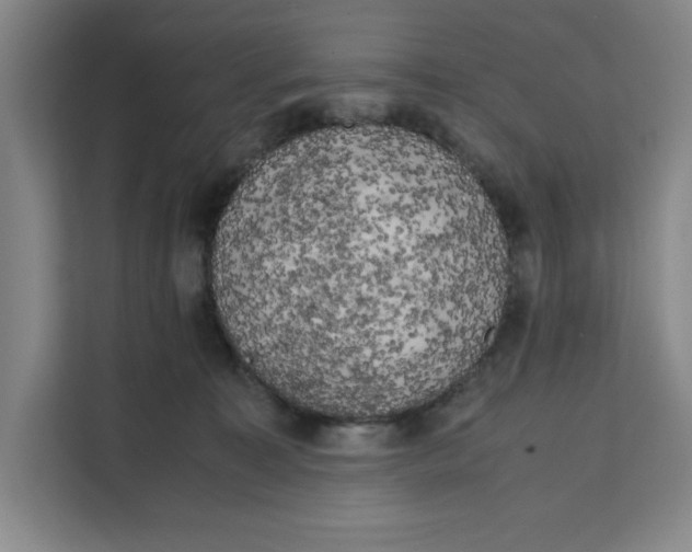 X0000111150323200907141346