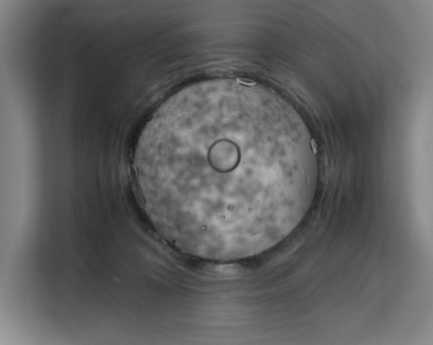 X0000111150324200907141346