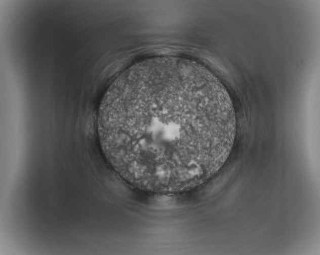 X0000111150325200907141346