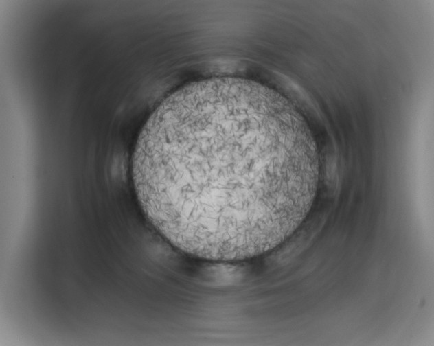 X0000111150326200907141346