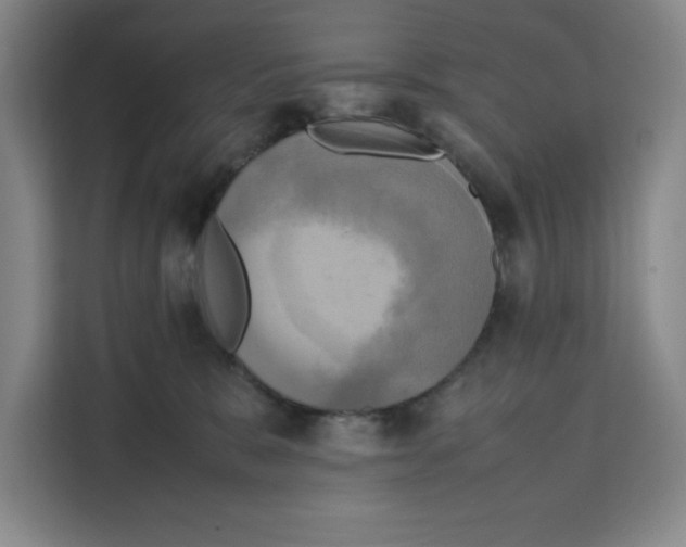 X0000111150327200907141346