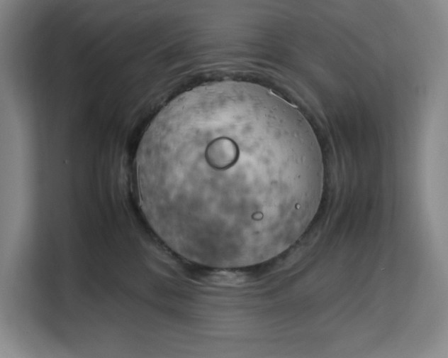 X0000111150328200907141346