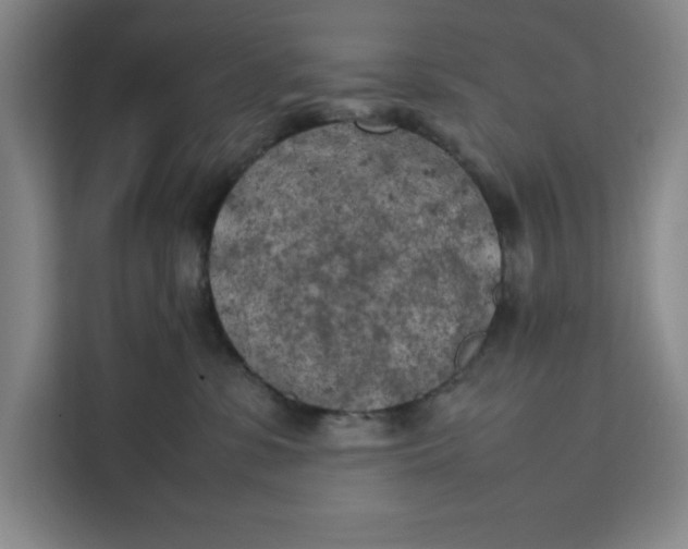 X0000111150331200907141346