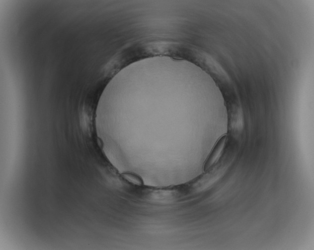 X0000111150332200907141346