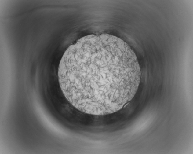 X0000111150335200907141346