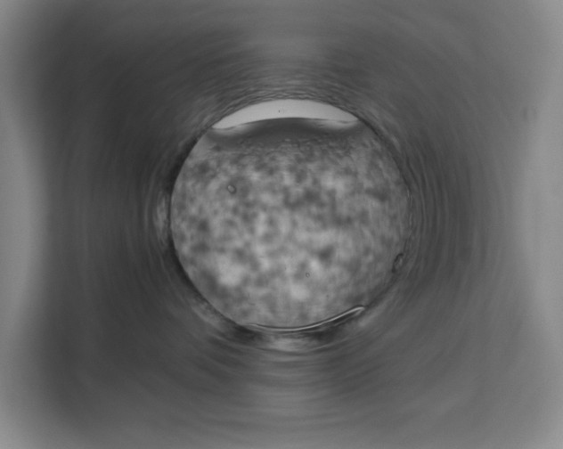 X0000111150336200907141346