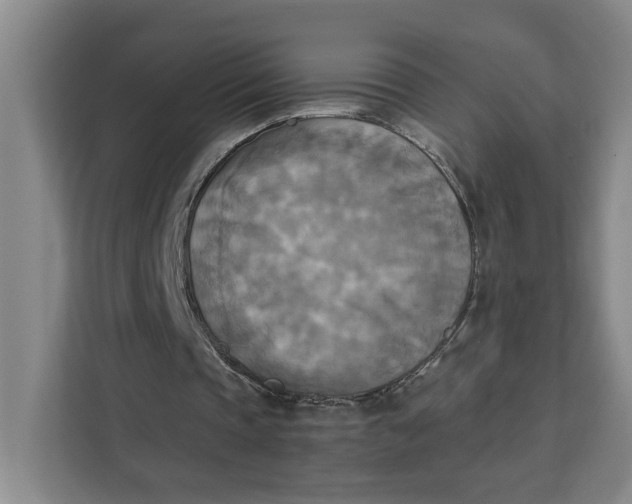 X0000111150337200907141346