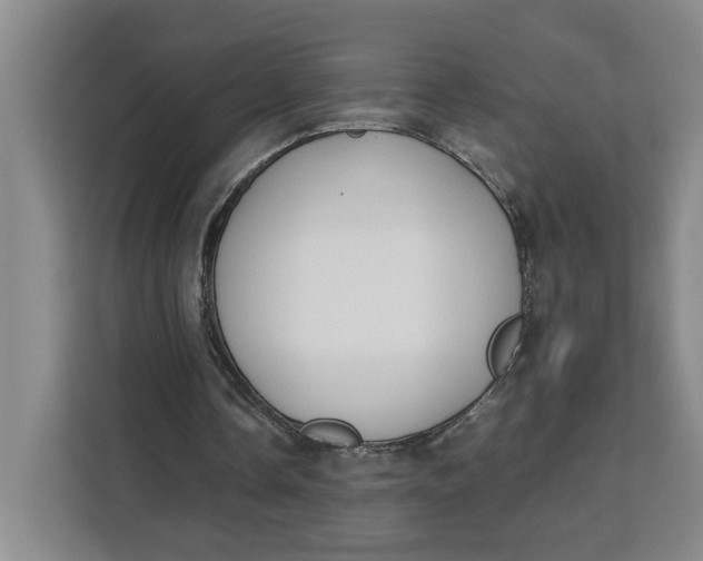 X0000111150338200907141346