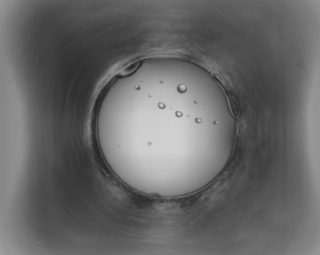 X0000111150340200907141346