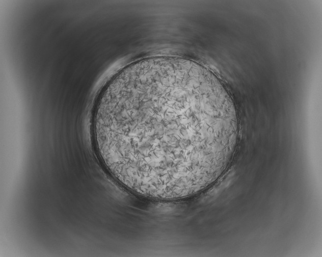 X0000111150341200907141346