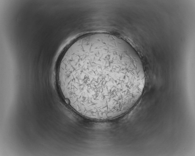 X0000111150342200907141346