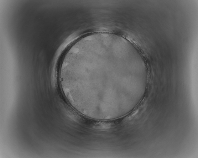 X0000111150343200907141346