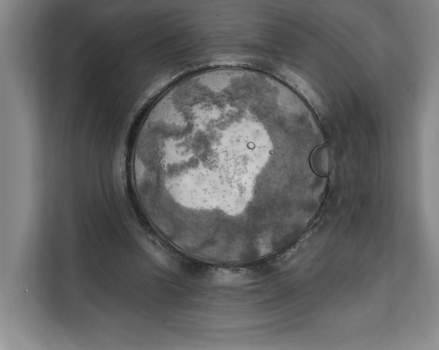 X0000111150346200907141346