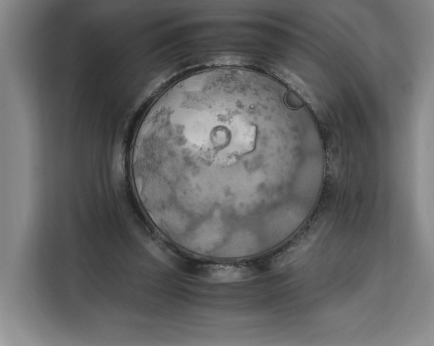 X0000111150347200907141346