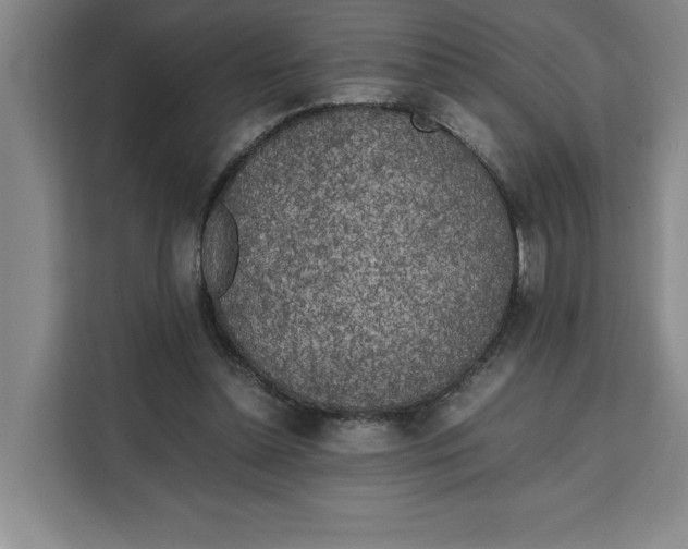 X0000111150348200907141346