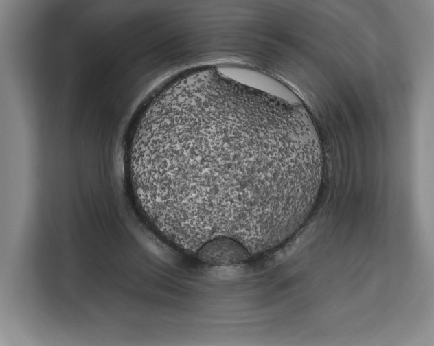 X0000111150350200907141346