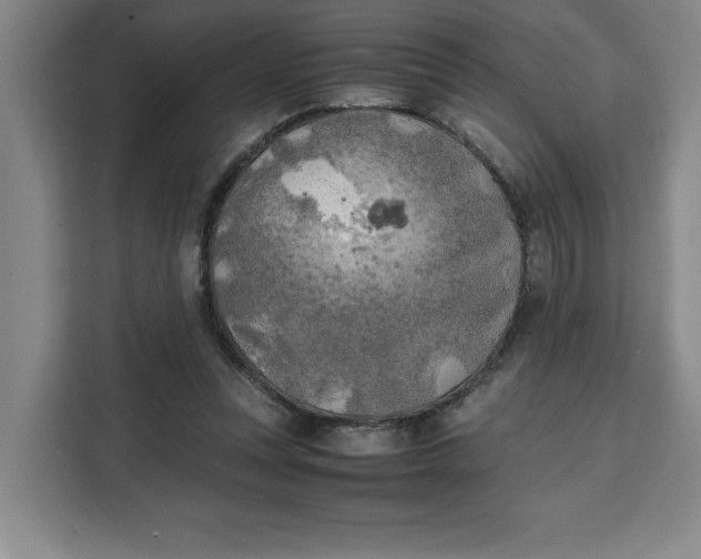 X0000111150351200907141346