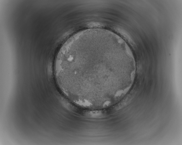 X0000111150353200907141346