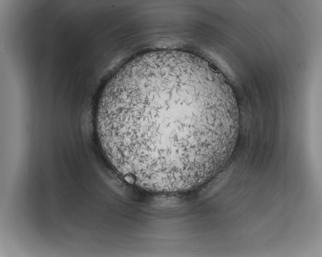 X0000111150354200907141346