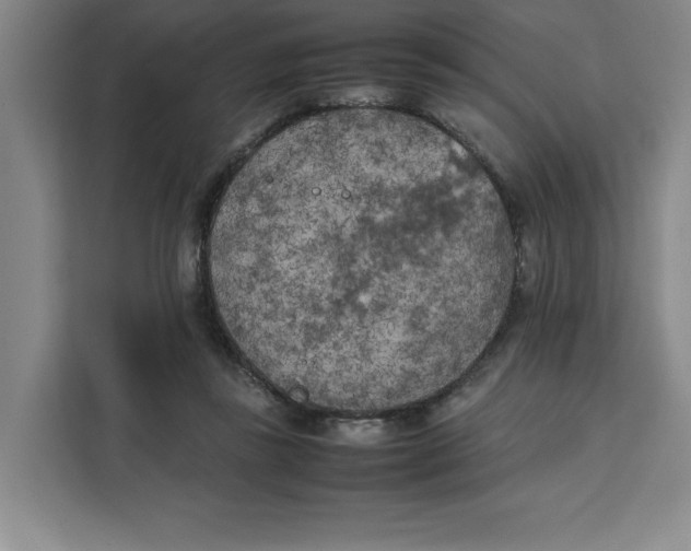 X0000111150355200907141346