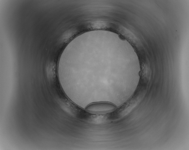 X0000111150356200907141346