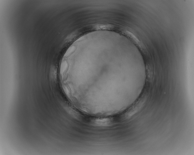 X0000111150357200907141346