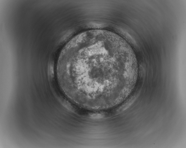 X0000111150358200907141346