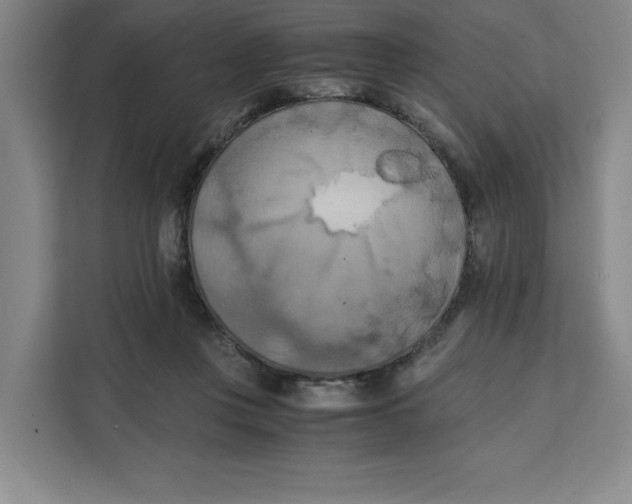X0000111150359200907141346